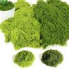BITOYO 200g Muschio Stabilizzato, Muschio Finto per Decorazioni, Piante Stabilizzate Artificiali Interno per Mestiere Modellismo Terrario Casa Decori Natale Pasqua Nozze (Verde Chiaro, Verde Scuro)