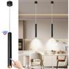 DTSDWA Lampada a sospensione con batteria 6000 mAh, Lampada a sospensione a batteria, Lampade senza alimentazione, regolabile in altezza, magnetica, dimmerabile, Lampada a sospensione cilindrica