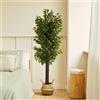 BLAINE | Ficus Selvaggio 150cm | Piante Artificiali Decorative | Pianta Artificiale Grande | Piante Artificiali per Interni/Esterni | Pianta Artificiale Realistica Decorativa per la Casa