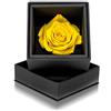 Aluisi Fiori Rosa Stabilizzata Gialla Vera - Rosa Eterna in Cofanetto Nero - Fiore Stabilizzato Singolo Elegante - Idea Regalo Compleanno, Laurea, Festa della Mamma, 8 Marzo, Decorazione Floreale