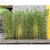 AVLLSO Separé da esterno Albero di bambù artificiale per esterni 1,5 m di altezza, Pianta dell'albero finto per lo schermo decorativo per la privacy(20 Pack,1.8m/5.9ftTall)