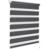 WOLTU Tenda a Rullo per interni Doppio Strato Giorno e Notte, Fissaggio a Morsetto Senza Foratura, Tenda Traslucida Oscurante per Finestra o Porta, 80x150 cm [Larghezza Tessuto: 77 cm], Antracite