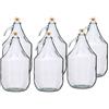 MultiDepot BDG5Z, set di 6 bottiglie / contenitori in vetro, 5 l