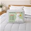 La biancheria per la casa Piumino Oca Stream Estivo Leggero 150 GR. 80% Piuma Oca 20% Piumino Oca (SINGOLO 1 PIAZZA CM. 155X200, Bicolore)