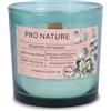 seit 1744 müller KERZEN Müller Kerzen PRO NATURE Candele Profumate in Vetro Blu con Stoppino in Legno - Cera Bianca e Oli di Colza Naturali all'Eucalipto & Menta - Durata Fino a 40 Ore - 100% Vetro Riciclato