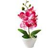 Generico 1 Piece Mini Orchidee Rosse Artificiali in Vaso Verde Simulazione di Orchidea Farfalla Finta Tavolo da Pranzo Decorazione Fiore 27 cm (rosso)