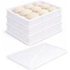 VIRSUS Cassetta con Coperchio per impasti Pizza e Pane HD3, misura 30x40x10 cm e capacità 10 Litri, colore neutro, Contenitore per alimenti, porta impasto per panetti (3 Cassette + 1 Coperchio)