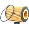 RIDEX 7O0104 Filtro olio con guarnizioni Compatibilità con OPEL Corsa D Hatchback S07