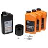 Shop Bikers (Harley-Davidson) Kit Tagliando Originale per moto (Harley-Davidson) XL Sportster 883/1200 1986-2020, Olio HD360 SAE 20W-50, Filtro Nero, Candele 6R12
