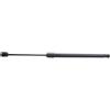 RIDEX 219G0307 Ammortizatore pneumatico Cofano bagagli/vano carico Posteriore Compatibilità con RENAULT Scénic 2 JM0/1