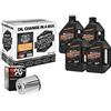 GZM Olio Motore 20w50 Kit tagliando Maxima per harley sportster XL dal 86 ad oggi 883 1200 filtro Cromo Iron Nightster Custom Roadster Super Low Forty Eight