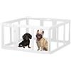 Gardner Pet Recinto per Cani in Acrilico Trasparente, 12 Pizzi, Bianco | Antigraffio e Antiscivolo, Parco Modulare Interno Esterno per Cuccioli, Gatti, Conigli e Animali Piccoli, Facile da Pulire