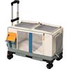 Galatée Passeggino Per Animali Domestici, Zaino Per Cani Con Ruote, Borsa Da Viaggio 2 In 1 Per Gatti, Borsa Pieghevole Per Cani Per Viaggi, Campeggio e Attività All'Aperto(Verde)