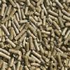 Catappa-Leaves Pellet per gamberetti, granchi, gasteropodi e altri, bastoncini di mangime con carote, 50 g