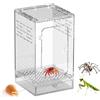 Generisch Serpente terrario - acrilico per rettili ventilati - scatola di osservazione per coleotteri trasparente | Per Grillo Scorpione scarafaggio rettile granchio serpente lumaca tartaruga