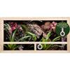 REPITERRA Terrario per rettili e anfibi, terrario in legno con ventilazione laterale, 100 x 60 x 50 cm