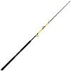 SHIMANO Canna Beastmaster CX Standup Spiral 1,65m 5'5 50lb 1pc