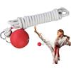 Generico Rope Dart Trainer | Pratica Del Peso A Sfera Di Con Dardo Di Corda, Attrezzatura Per Il Fitness Intuitiva, Marziali Tradizionali TL'allenatore Daradizionali Cinesi Per Donne Uomini
