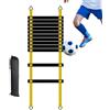 Generico Kit Allenamento Calcio, Scalette Per Allenamento Di Velocità Di Agilità, Scalette Agilità Sportiva Con Borsa Pers Il Trasporto, Lunghezza 5/6/8 M, 10/12/16 Pioli Regolabili, Regalo Calcio Per Bambini