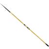 SHIMANO BEASTMASTER FX Surf Tele 4,25 MT 200 GR