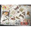 Prophila Collection Motivazioni 1.000 Diversi Uccelli Francobolli (Francobolli per i Collezionisti) Uccelli