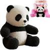 Generico Panda Peluche | con e Musica Morbido Peluche - Panda Soffice con Respirazione Realistica e Copertura Lavabile per Bambini Regalo Compleanno Natale Halloween