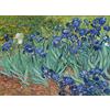 YU GONG FANG Puzzle per adulti 7000 pezzi di iris per lo sviluppo intellettuale dei bambini