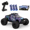 Ledovan Camion telecomandato 1:14, alta velocità 100 km/h, motore brushless, monster truck RC per adulti, 2,4 GHz, fuoristrada, tuttoterreno, drift car, 4WD RC Buggy, 3 batterie (viola)