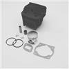 DORFEY Kit cilindro 40mm adatto for Garland 430 A 430a decespugliatore trimmer coclea cilindro pistone anello cuscinetto guarnizione gruppo rullo