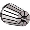 BCJMKDX Mandrino per pinza, 1 pezzo ER di precisione ER11 ER16 ER20 ER25 ER32 0,008 mm per supporto utensili di fresatura CNC macchina per incisione motore mandrino (ER169)