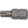 Sonic Equipment Ugello Torx Large