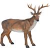Design Toscano Grande cervo maschio Statua richiamo per cervi Statua animale, poliresina, a colori, 71 cm