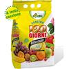 PERAGA GARDEN AL.FE CONCIME 120 GIORNI UNIVERSALE 4KG AL.FE CONCIMI