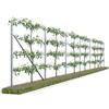 Kiwiri RANKI ™ - Supporto per piante rampicanti - Spalliera a standard di piantagione per vino, kiwi, kiwiberry, rose, clematidi, frutta a spalliera (6 campi (12 metri))