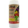 VITHAL GARDEN Concime Polvere di Neem - Concime Organico Azotato Naturale per Piante, Rapida Azione e Nutrizione Equilibrata, Consentito in Agricoltura Biologica, 800g