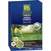 KB HOME DEFENSE Sementi Evergreen Ombra 1 Kg KB