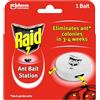 Raid (Paral) - Scatola per formiche per interni ed esterni, confezione da 1 (1 x 43 g)