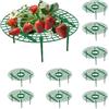 Nexoria 10 pezzi maturatore di fragole, supporto fragole, protezione per lumache, griglia di fragole, in plastica, per piante e fragole, per piante
