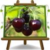 EURO PLANTS VIVAI Ciliegio Acido Amarena Nera del Piemonte su vaso da 24/26 cm. pianta da frutto autofertile *Altezza: 160~180 cm. - Età 4 anni