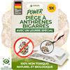 GREEN GUARDIA Trappola per coccinelle di lana con speciale tessuto - 9 trappole - ecologica per combattere i coleotteri di lana senza sostanze chimiche con superfici adesive