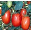 Generic 500 semi di pomodoro Rio Grande Pomodoro
