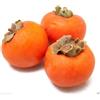 SwansGreen Japanese Persimmon,(25 Seed) Asian Persimmons(Diospyros Kaki-Fuyu) Tree Shrub