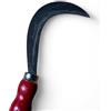 GREGORIOSTORE Roncolina Professionale con Manico Rosso, Lama Curva 12 cm, Made in Italy
