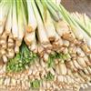 Generic Semi di citronella - vecchie varietà resistenti per giardini rocciosi prodotti sostenibili medicinali aromatiche da cucina giardino aromatiche 350pcs