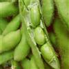 Generic semi di edamame, resistenti di edamame da giardino resistenti perenni da giardino balcone in serra rampicanti verdi 200pcs