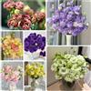Generic Semi di Lisianthus, semi di d'appartamento resistenti per il giardino 300pcs