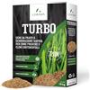 LERAVA TURBO Semi Loietto Perenne (720 m²) - Semi prato a Crescita Rapida - Fine Tessitura - Sementi per Prato Resistente e Denso - Erba da Giardino Verde Brillante - Ideale per Sole e Ombra