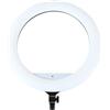 Annadue Anello Luminoso a LED Bicolore da 18 Pollici, Illuminazione da Studio Dimmerabile da 65 W 3200 K 5500 K con Adattatore CA e Alimentazione a Batteria, per Videoconferenze
