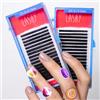 P-Beauty Cosmetic Accessories LOVELY BLACK LASHY | Ciglia singole per extension professionale | Curvatura: C/D/L/M | Dimensione: 0,07/0,10mm | Lunghezza: 5-15mm (M / 0,07mm / 7-12mm MIX BOX)