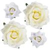 mishdacthgd Fermaglio per capelli a forma di rosa, 4 pezzi, in tessuto, stile messicano, per donne, ragazze, matrimoni, feste, festa della mamma (2 misure) (bianco)